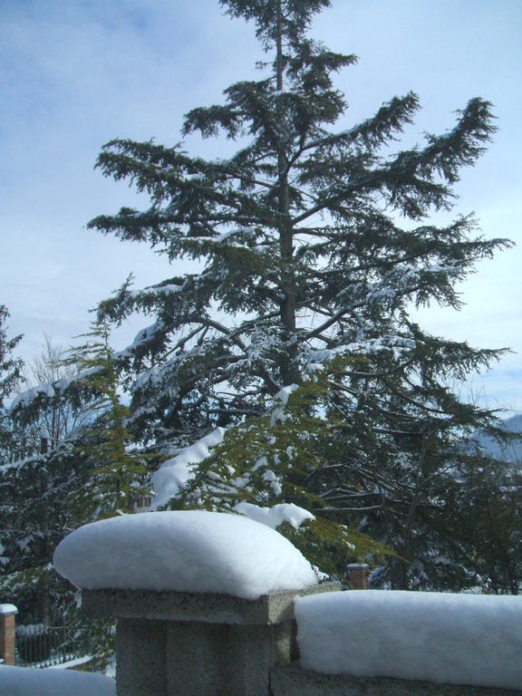 Casa Giordano Bed & Breakfast Mombello Monferrato ภายนอก รูปภาพ